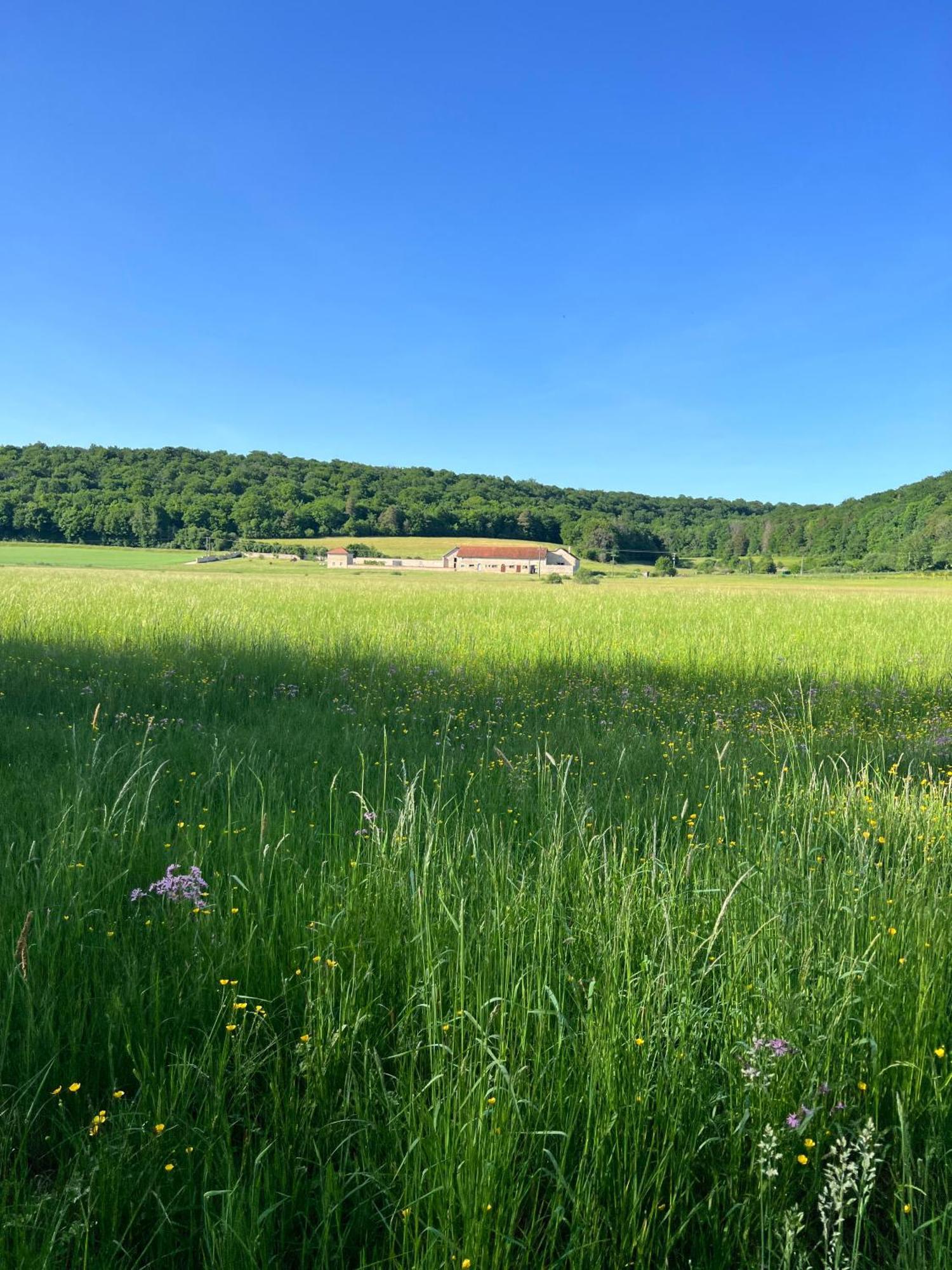 Holiday home De La Vallee De L'aujon
